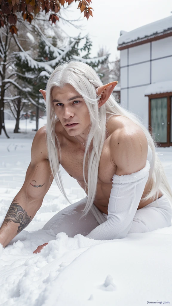 hot dragon man, crawling in snow, long white hair, elf ears, scales over body, fantasy style