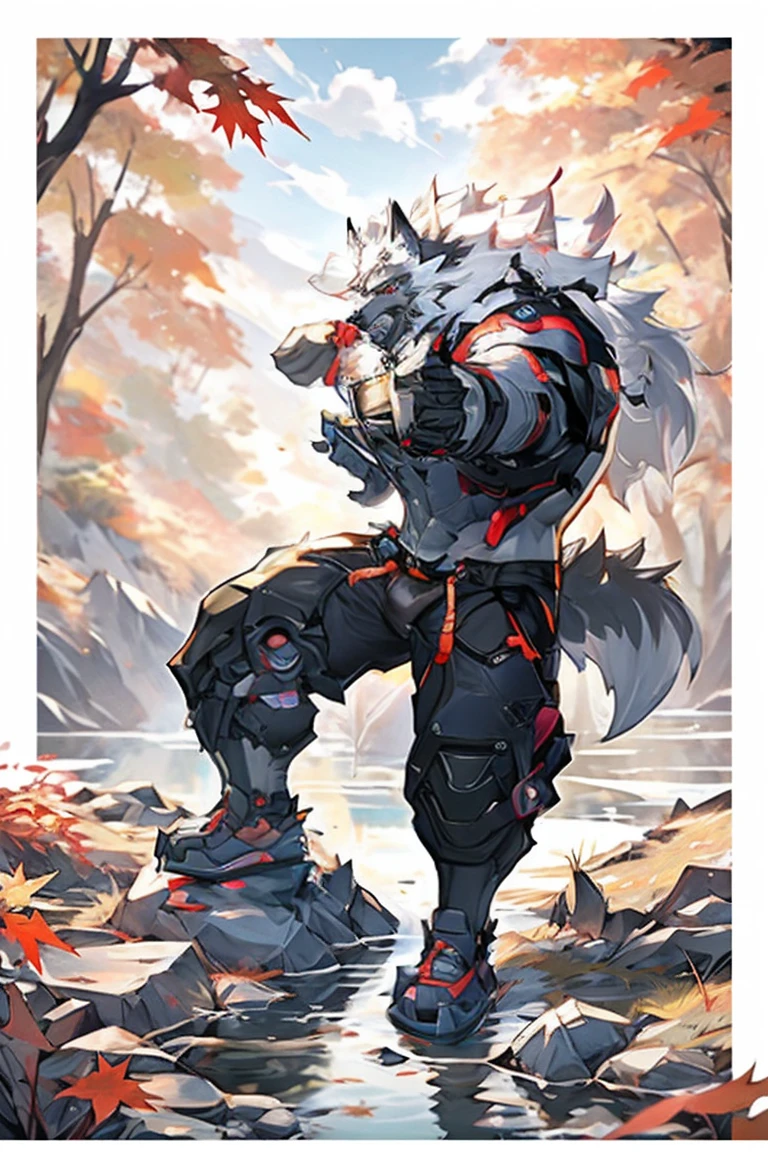 masterpiece,best quality,(1boy:1.1),(solo:1.1),muscular male,hi res,8k hd,extreme detail,detailed background,masterpiece,muscular,muscular anthro,(sweat:1.4),aged up,(looking at viewer:1.1),[(white background:1.4), ::2],solo,mid shot,full body,meadow,(Fallen leaves:1.1),grass,(Maple leaf:1.1),(rock:1.1),Stream,(rivers:1.1),fight pose, (langshu:1.3),wolf boy,facial hair,Thick eyebrows,grey body,wolf ears,white hair,long hair,wolf tail,claw,by lindong,by null-ghost,