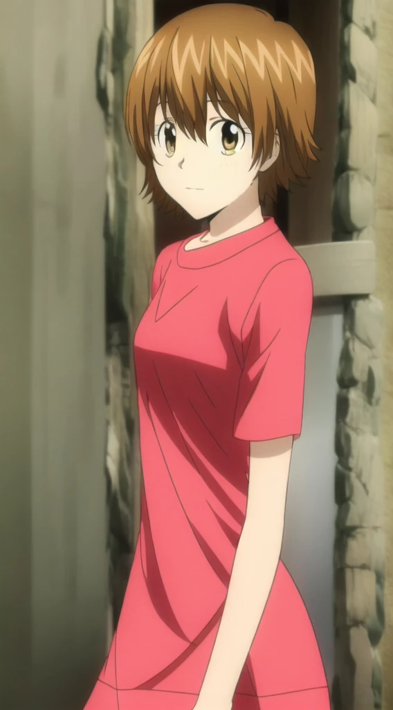 kyoko1, short hair, brown hair, pink striped dress, brown eyes, Masterpece, look at the views,