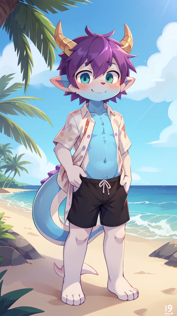 score_9,score_8_up,score_7_up, source_cartoon, source_furry, dragon boy, horns, green eyes, tail, purple hair, shota, furry, blush, dragon tail, looking at viewer, smile, dragon horns, pointy ears, short hair, furry male, two tone body fur, blue body fur, white body fur, ((white hawaiian shirt, open clothes, black swim trunks)), beach, clear sky, blue eyes, blush, navel, standing, full body, feets with three toes, 3 toes,