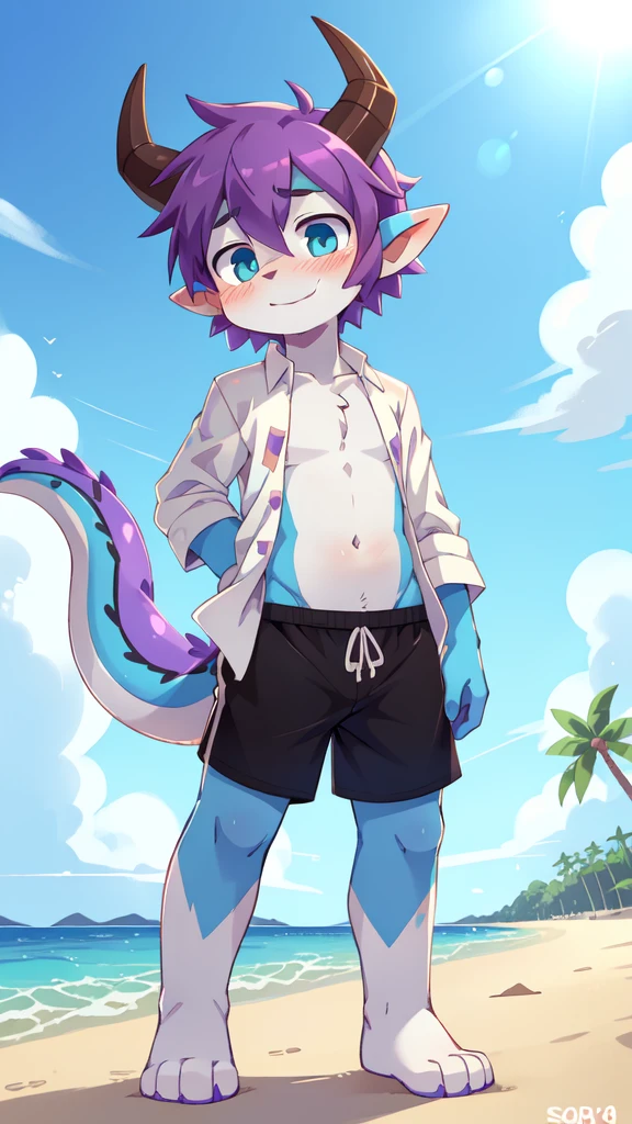 score_9,score_8_up,score_7_up, source_cartoon, source_furry, dragon boy, horns, green eyes, tail, purple hair, shota, furry, blush, dragon tail, looking at viewer, smile, dragon horns, pointy ears, short hair, furry male, two tone body fur, blue body fur, white body fur, ((white hawaiian shirt, open clothes, black swim trunks)), beach, clear sky, blue eyes, blush, navel, standing, full body, feets with three toes, 3 toes, 