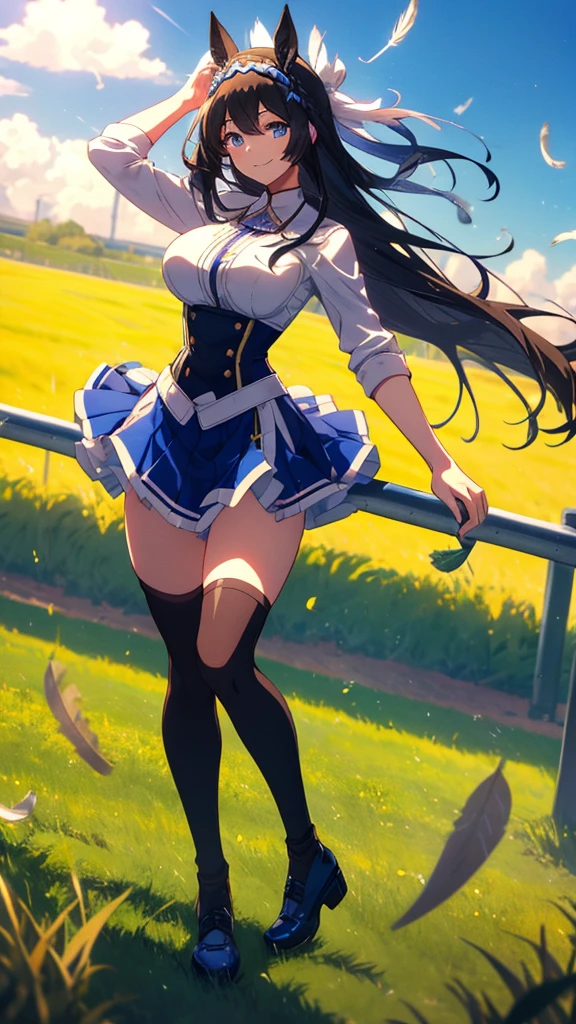 best quality, extremely detailed, anime style adult 1girl, long hair down to the waist, straight hair, ((dark black hair with bluish)),crown braid,beautiful detailed eyes, pinched eyes, dark blue eyes, huge breasts,curvy,(((jockey's racing uniform))),longskirt,((feather accessory)),((foppery shoes)),((((light smile)))),((((grassland)))),animation cap,animated gif,in umamusume style