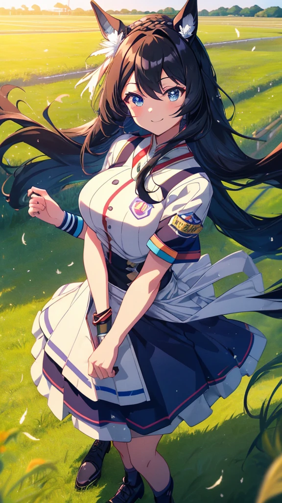 best quality, extremely detailed, anime style adult 1girl, long hair down to the waist, straight hair, ((dark black hair with bluish)),crown braid,beautiful detailed eyes, pinched eyes, dark blue eyes, huge breasts,curvy,(((jockey's racing uniform))),longskirt,((feather and colorful accessory)),((foppery shoes)),((((light smile)))),((((grassland)))),animation cap,animated gif,in umamusume style