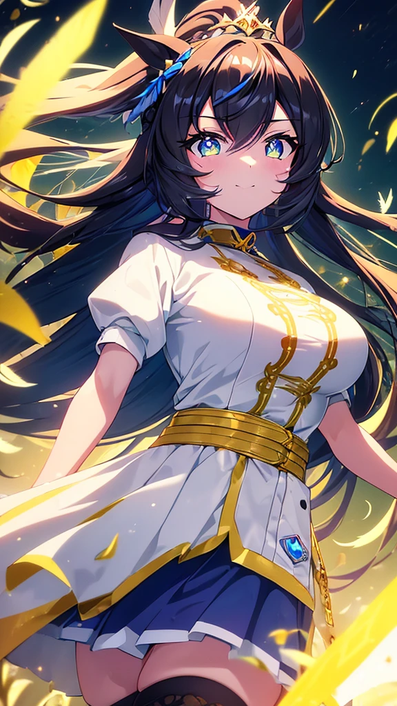 best quality, extremely detailed, anime style adult 1girl, long hair down to the waist, straight hair, ((dark black hair with bluish)),crown braid,beautiful detailed eyes, pinched eyes, dark blue eyes, huge breasts,curvy,((((human ear)))),(((princess motif jockey's racing uniform))),longskirt,((feather and colorful accessory)),((foppery shoes)),((((light smile)))),((((grassland)))),dash,animation cap,animated gif,((in umamusume style))