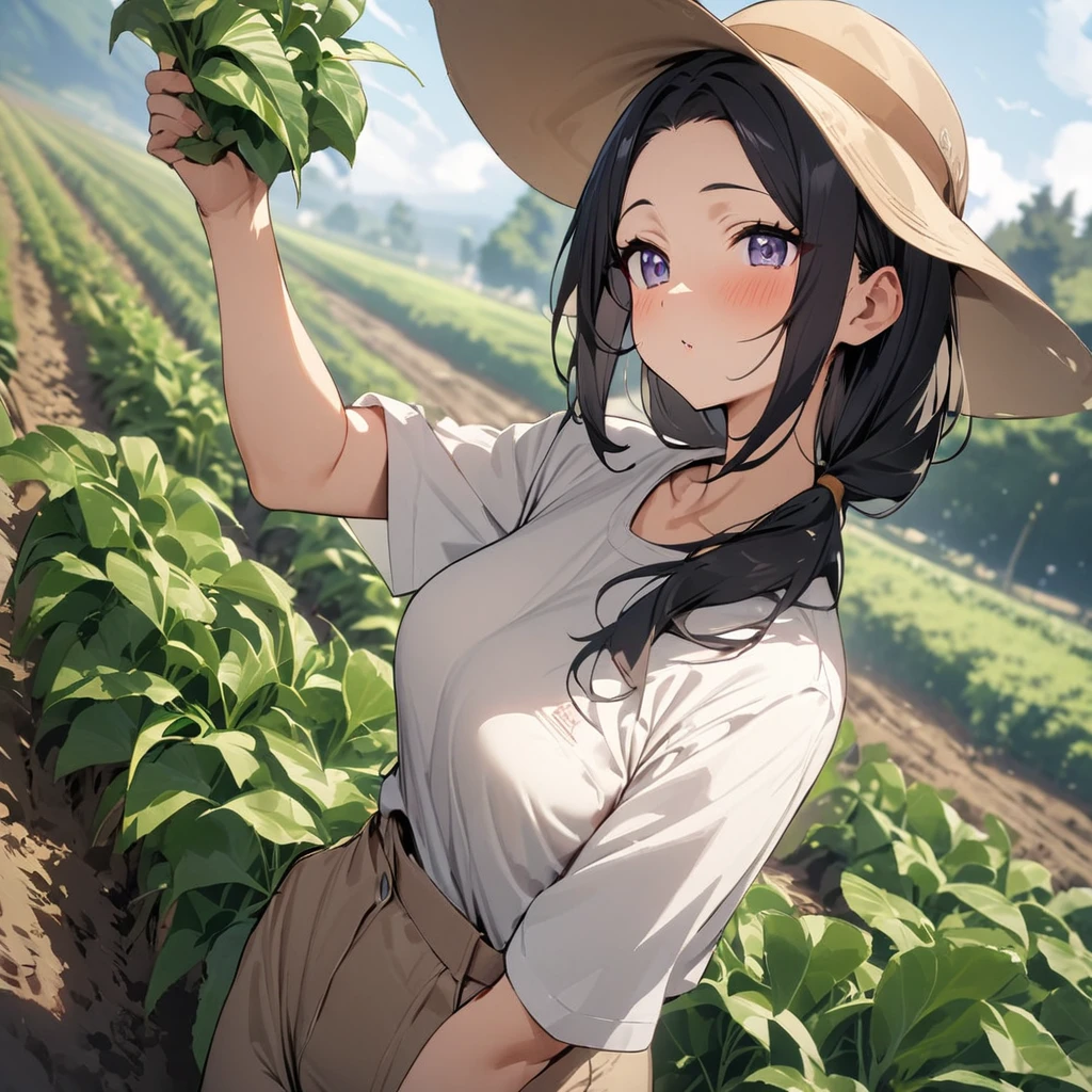 Top quality, masterpiece, girl, growing トマト, farming, work clothes, hat