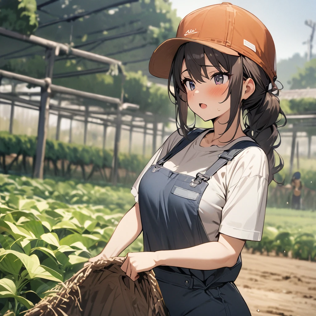 Top quality, masterpiece, girl, トマト畑, farming, work clothes, hat
