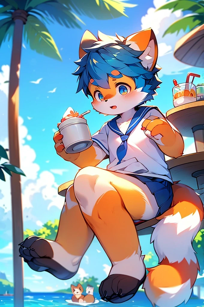 Male Red Panda, Ocean, Appeared wearing a sailor uniform! One in heat, Sitting,fly in the sky,Cafe,Blue light