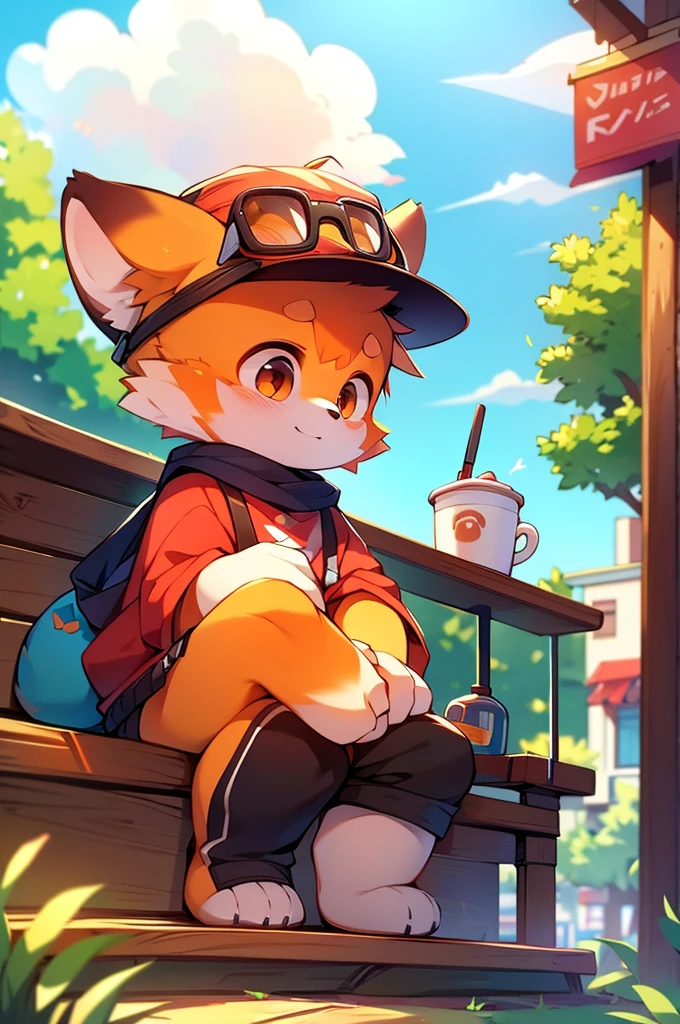 Male Red Panda,  Cool clothes！ Sitting,fly in the sky，Cafe