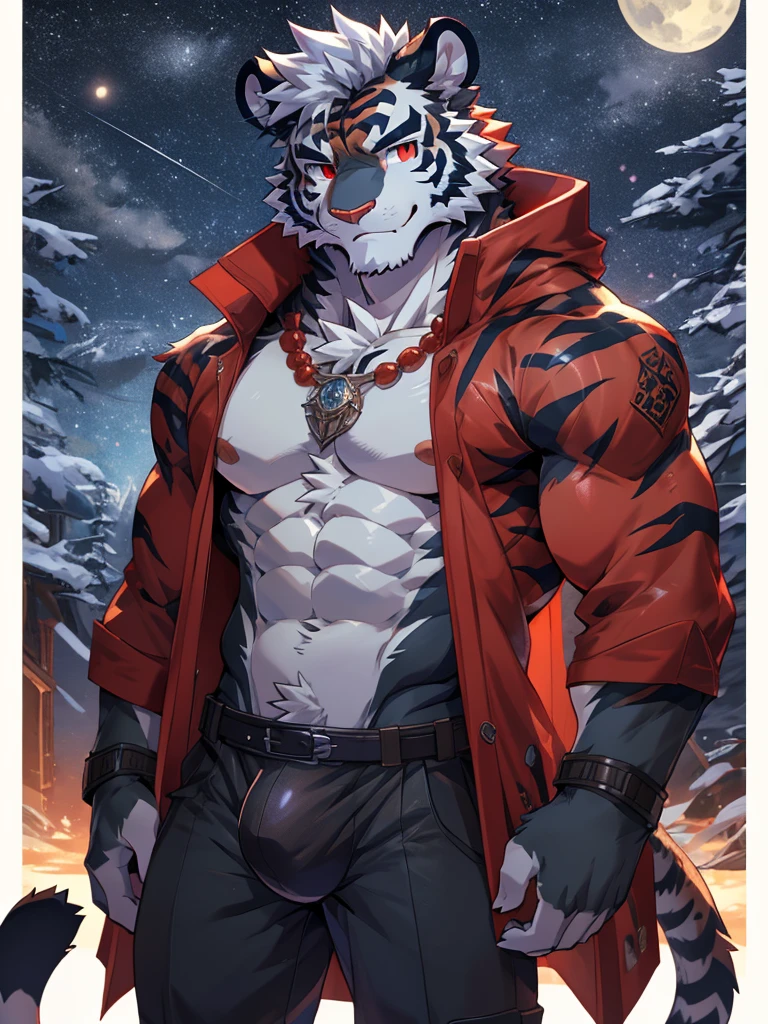 Solo, tiger, black tiger, tiger male, gray hair, white body fur, muscular male, elder male, light red eyes, wearing nothing, gray fur tuft, eastern necklace, star night background, ( by Sollyz, masterpiece, 8k, hd), Looking at viewer, smiling, detailed face, detailed eyes, detailed hair, detailed muscles, detailed clothes, Genshin, nude lower body, bulge on crotch,