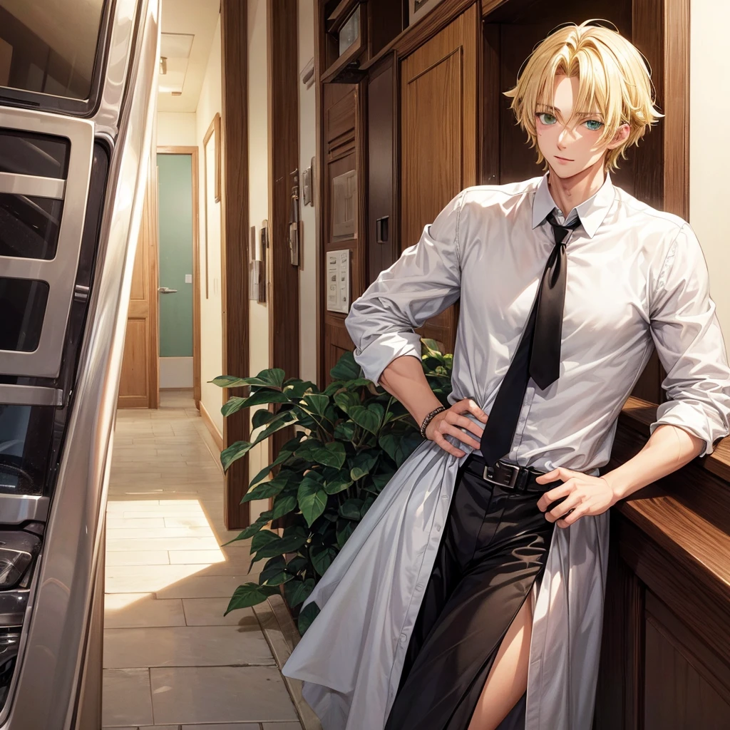 a handsome guy, young almost 24 years, blonde hair, pretty green eyes, tall. Anime style