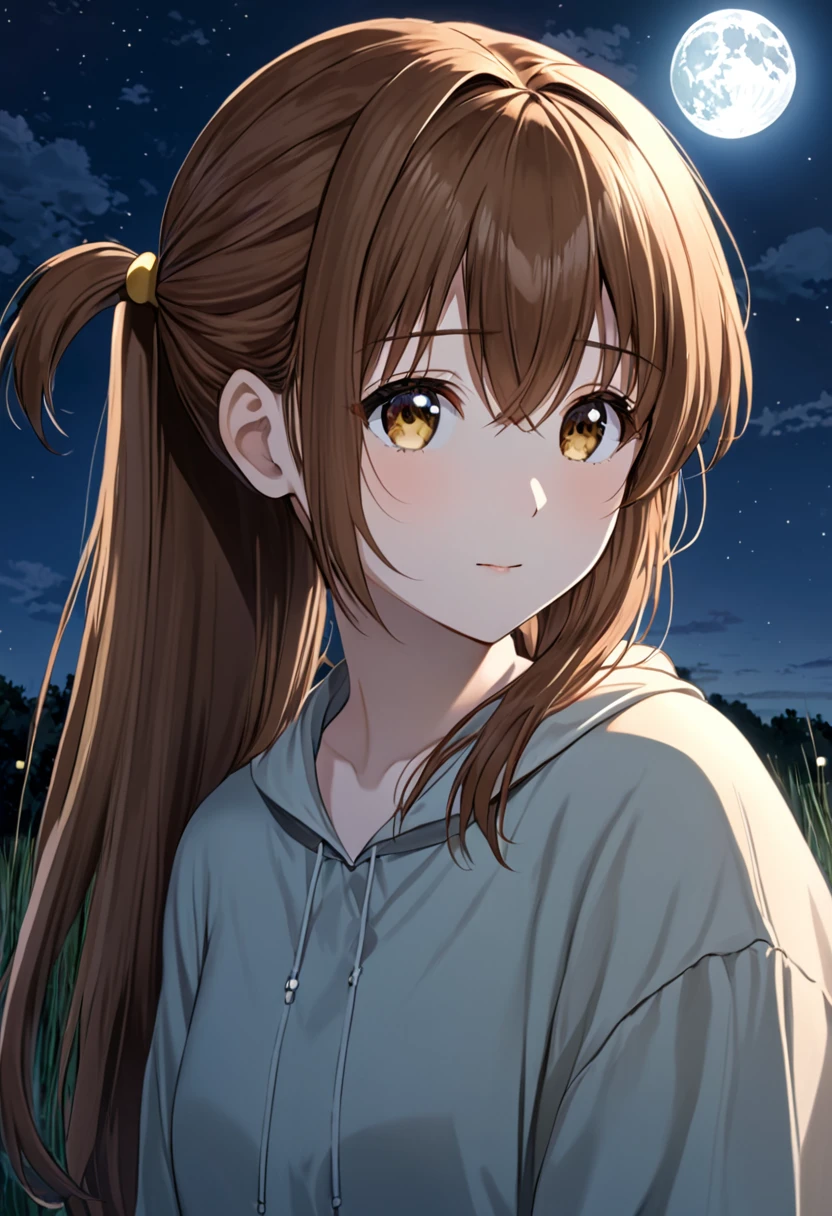girl. With brown hair.Hazel eyes.Brown hair.pony tail.Hazel eyes.Calm weather.Somewhere under the moon.