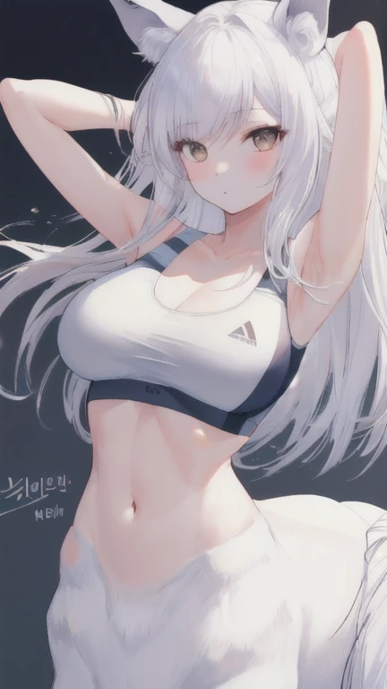 (best quality, masterpiece), 1 girl, centaur, It takes, White skin, Korean , expose belly button,sports bra, 아름다운 소녀 perfect wolf photo, perfect wolf photo