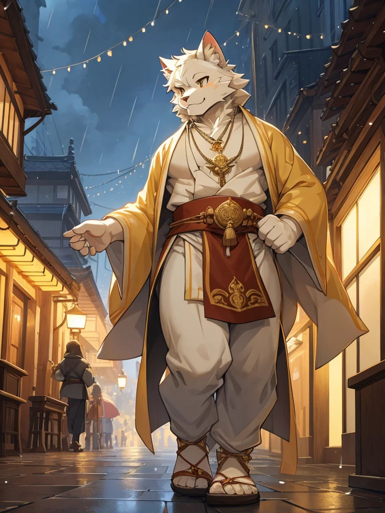 Anthro, white mein coon cat, full body, male, adult, hand paws, tail, strong, light robe, light pants, flip flop, fancy modern japenese clothing, ornate clothing, necklace with pendant, abdomen on display, innocent look, warm expression, hairy body, 8K, dynamic lighting, ultra detailed, masterpiece, street of a medieval town, raining