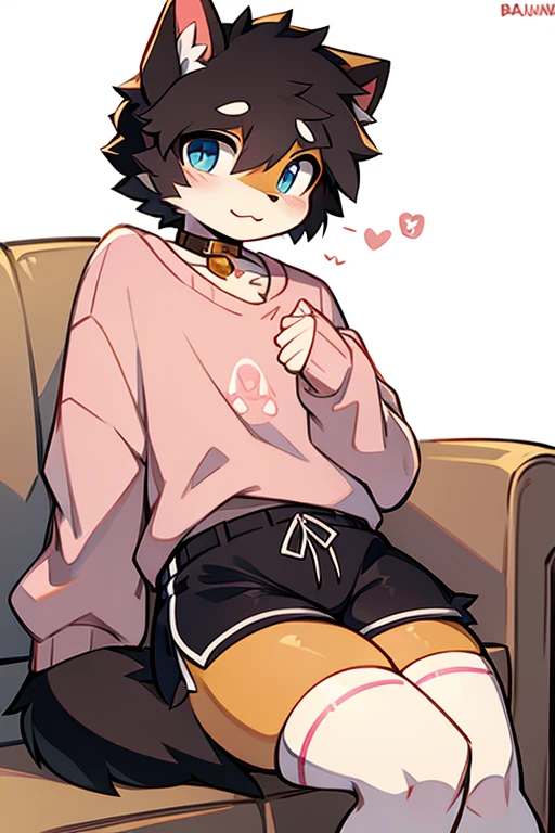 Art anime Cartoon digital,furry masculino,Bblack hair,blue colored eyes,light brown fur color,cute face,dark brown hairy tail with white,sitting not sofa,big-ass,long pink socks,black short shorts,pink regatta shirt.