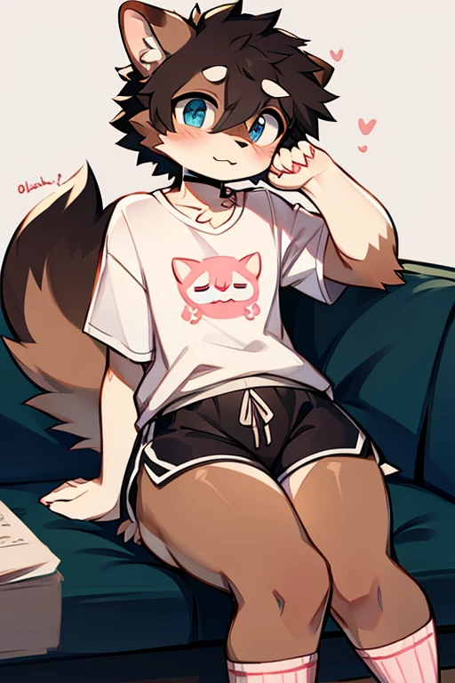 Art anime Cartoon digital,furry masculino,Bblack hair,blue colored eyes,light brown fur color,cute face,dark brown hairy tail with white,face of shame,flushed,sitting not sofa,big-ass,long pink socks,black short shorts,pink regatta shirt.