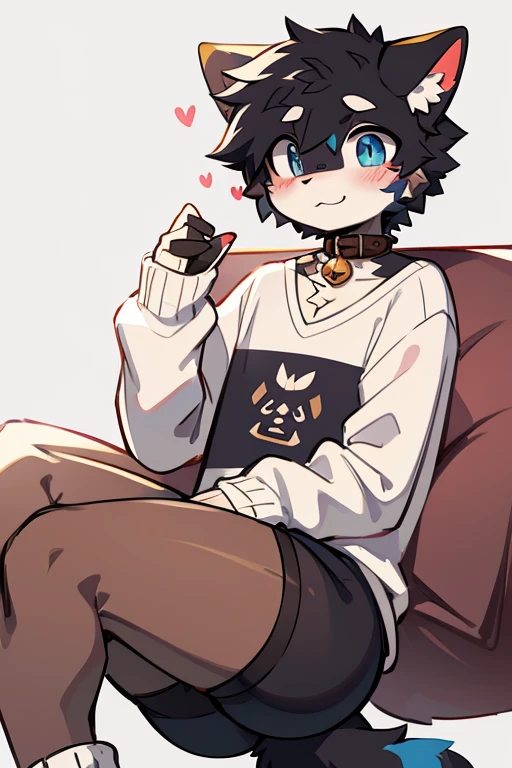 Art anime Cartoon digital,furry masculino,beautiful body,Bblack hair,blue colored eyes,light brown fur color,cute face,dark brown hairy tail with white,face of shame,flushed,sitting not sofa,long pink socks,big-ass, black pantyhouse,short shirt with heart,neck collar.