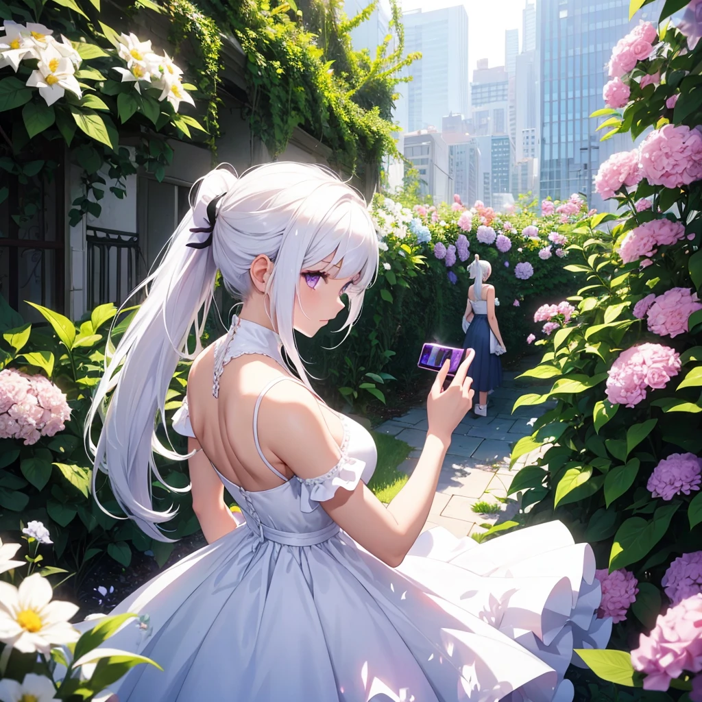 Girl, white hair ponytail, purple eyes, white light dress, flower garden, taking pictures of flower