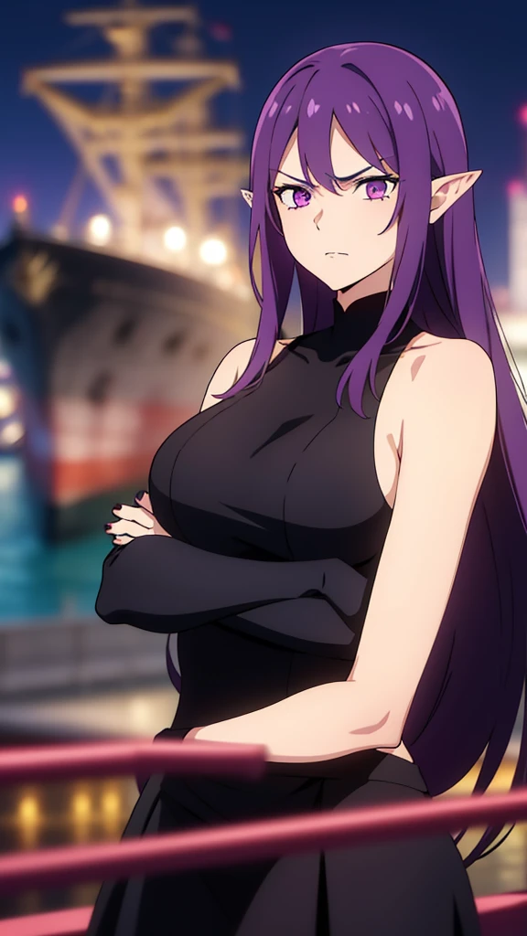 (1girl,30 years old,mature female),pointy ears,purple eyes,purple hair,long hair,angry,black dress,(night,harbor,ship),crossed arms,looking away