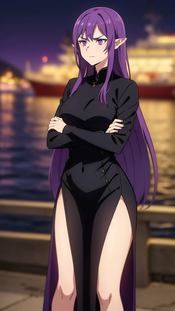 ((1woman,30 years old,mature female)),pointy ears,purple eyes,purple hair,long hair,angry,black dress,(night,harbor,ship),crossed arms,looking away