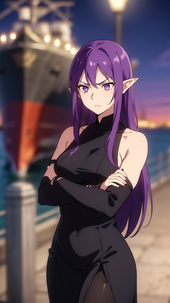 ((1woman,30 years old,mature female)),pointy ears,purple eyes,purple hair,long hair,angry,black dress,(night,harbor,ship),crossed arms,looking away