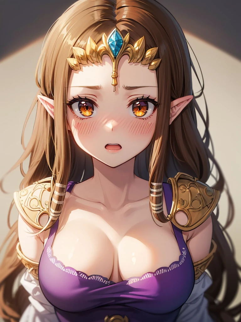 ((surprised),((Scared)),((valley)),((((Exposed shoulders)))),(((look up))),,(((Golden hair ornament)),,(((Long Hair)))),((Big Breasts)),((((Exposed shoulders)))),((Front Face)),Princess Zelda, ((Highest quality)),,(Very detailed) ,,((Purple blouse)),Brown Hair,((Embarrassed look)),Blushing, ((Highest quality)), (Very detailed), ,(((Dark brown hair))),Nintendo, (Straight hair), face,Blushing,((alone)), ((Highest quality)), (Very detailed), ,