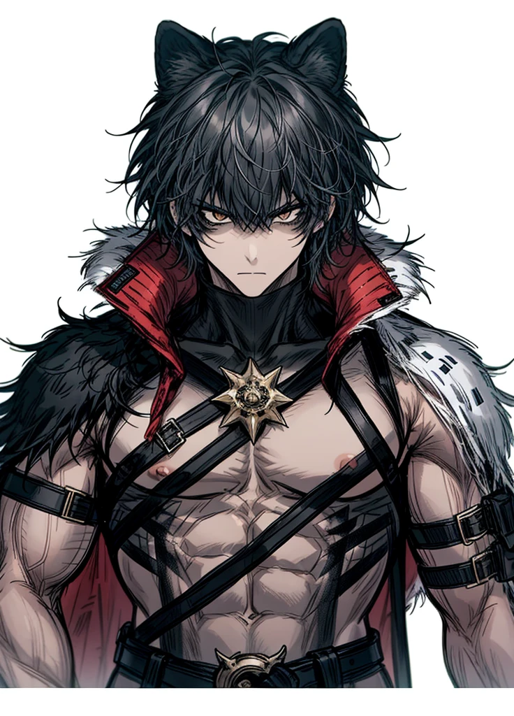 1boy , half-beast, fur-covered body, furry tail, weapon, (high resolution, high detail, best quality),alone,muscular, serious