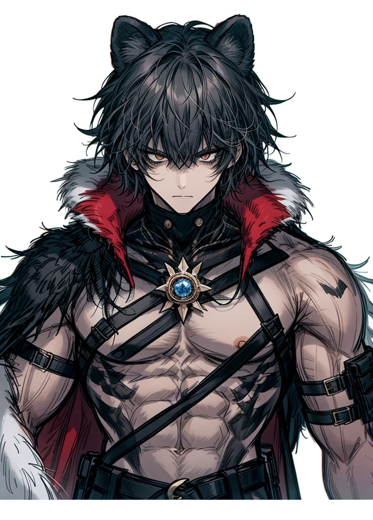 1boy , half-beast, fur-covered body, furry tail, weapon, (high resolution, high detail, best quality),alone,muscular, serious