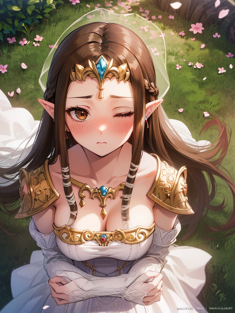 ((((Very beautiful mature woman)))),((surprised),((Scared)),((Close one eye)),((((Exposed shoulders)))),(((look up))),,(((Upper body only)),,(((Long Hair)))),((Big Breasts)),((((Exposed shoulders)))),((Front Face)),Princess Zelda, ((Highest quality)),,(Very detailed) ,,((Wedding dress)),Brown Hair,((Embarrassed look)),Blushing, ((Highest quality)), (Very detailed), ,(((Dark brown hair))),Nintendo, (Straight hair), face,Blushing,((overhead shot)), ((Highest quality)), (Very detailed),((Beautiful straight hair)) ,