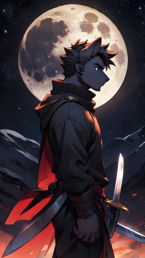 Black-haired man, A sword, sweater, A sword, Second-rate, night, planet, moon, Profile