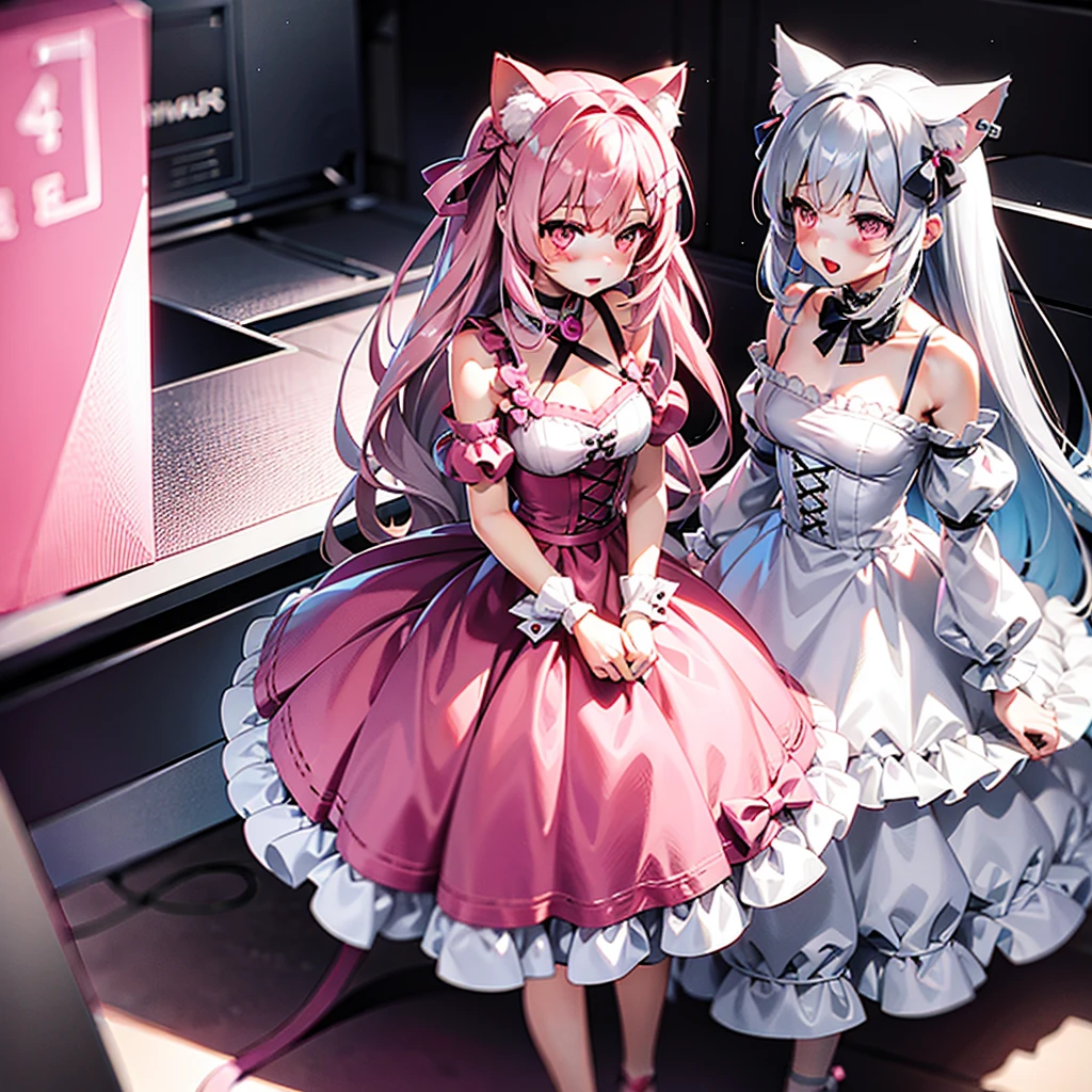 Silver pink mix hair, pink eyes, body, cat ears,girl, earrings,hair bows,hair charms,dresses, long hair