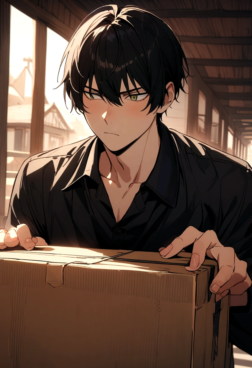 kageyama, Box
