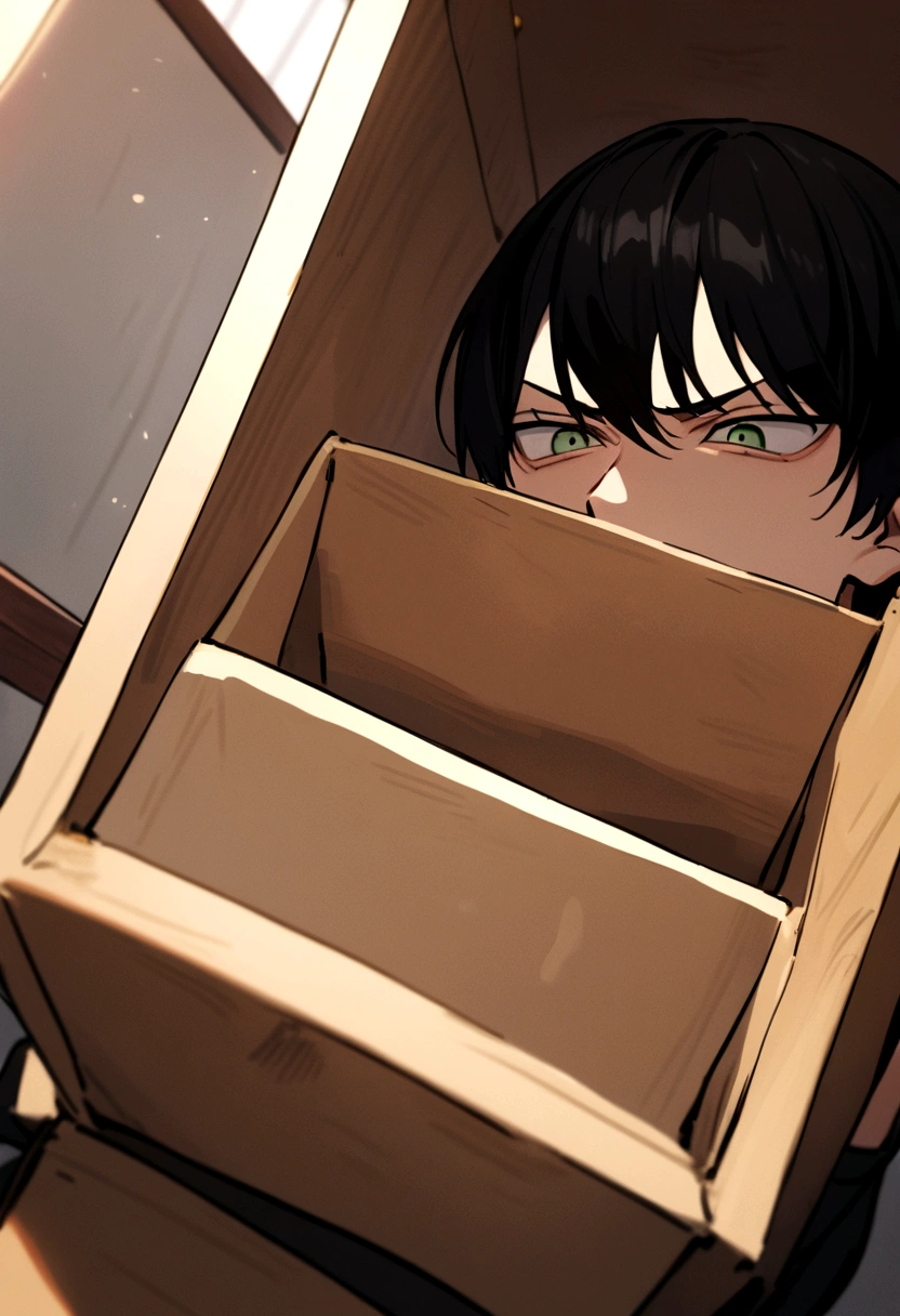 kageyama, Box