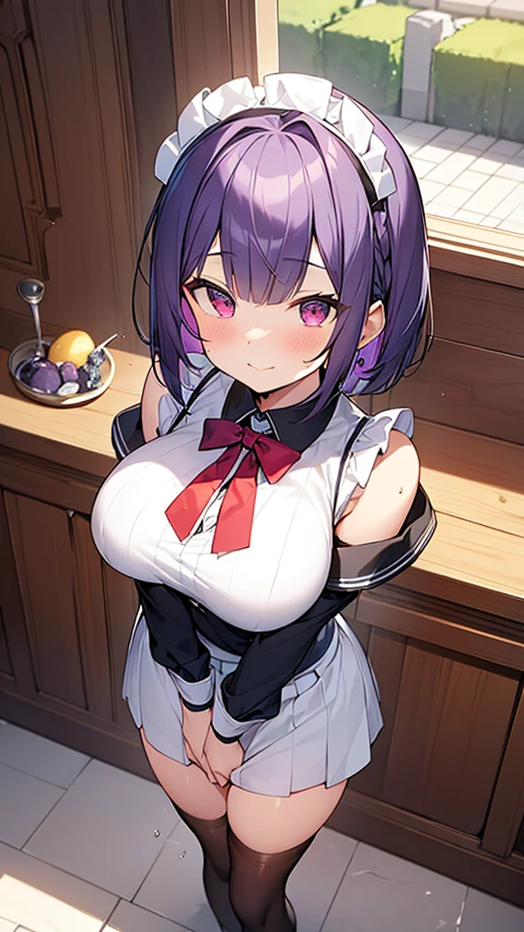 最high quality, high quality, Super detailed, 32k, Ultra-detailed details, Sister and maid, (only, Standing, pretty girl, beautiful purple hair, short hair, Beautiful RED eyes, mature, Big Breasts, A light smile, Off-the-shoulder sleeveless Summer メイド服, Summer casual maid clothes, Short skirt, Blue and white color striped underwear, Black knee socks, loafers, My crotch is wet with love juice, 18-year-old,cute), {{The succubus infiltrates the mansion, peels the skin off her sister's face, replaces it with her own, and puts on a maid outfit with her sister's face, lifting her skirt to show her underwear., Mature body and sister's face}, She has transformed from a shy maid into a lewd one., A maid with her sister's face stuck on her face is vigorously pistoning her body, A maid who moves her body vigorously without caring if her breasts bounce, Super detailed, indoor, Full body image, ((Head to Toe:1.3)), NSFW