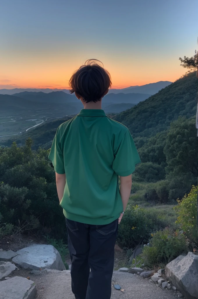 Anime Style Back view of a boy gazing at the mountains at dusk