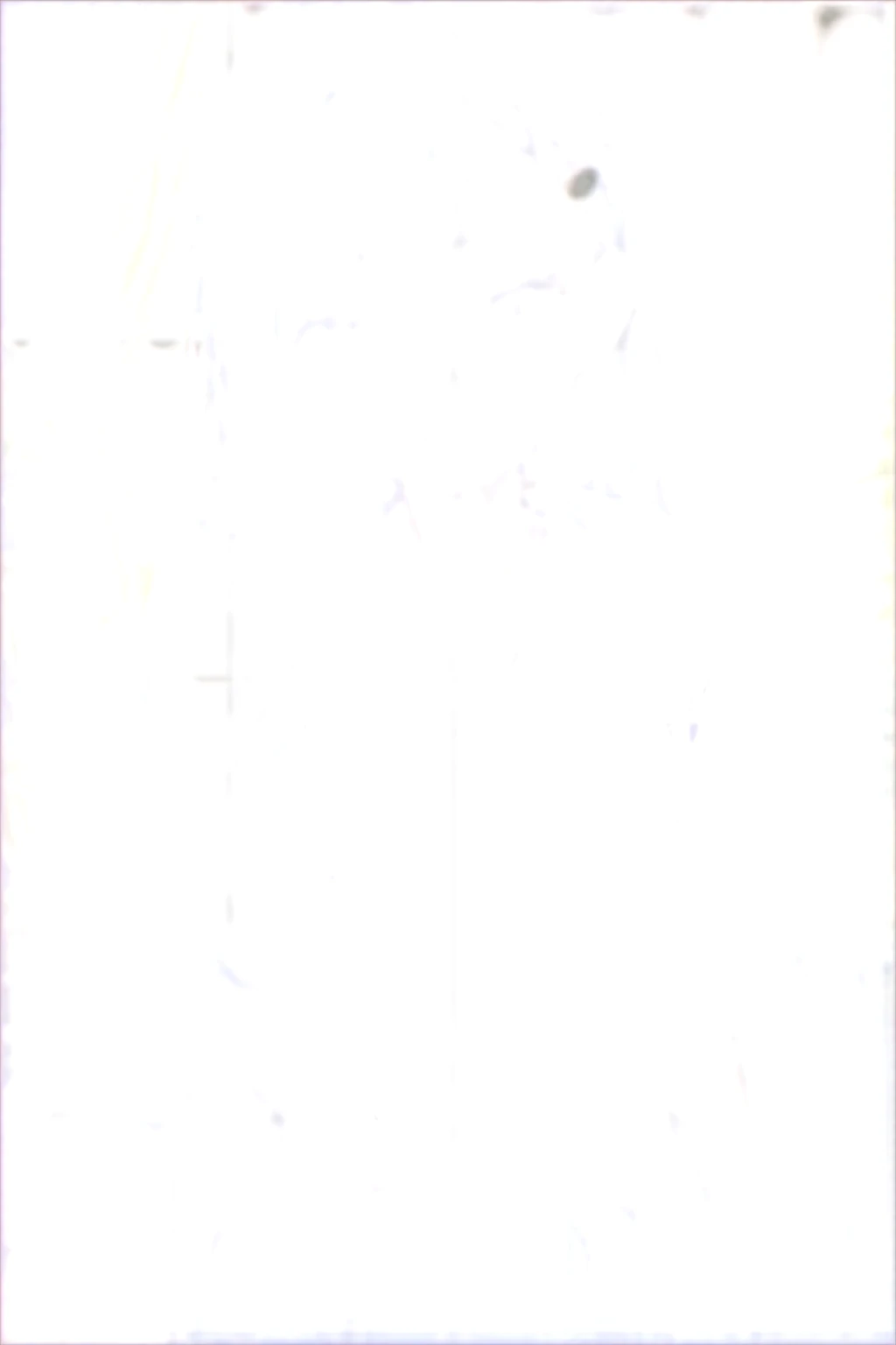 ((best quality)), ((masterpiece)), (details), one girl, sexy ((best quality)), ((masterpiece)), (details), one girl, sexy ((best quality)), ((masterpiece)), (details), one girl, full body,it's_nagatoro_main, Nagatoro Hayase, one girl, blushing, one person, uniform white polo shirt, black hair, brown eyes, hair accessory, looking at viewer, hair clip, smiling, long hair, dark skinned woman, dark skin, , bangs, daytime, skirt, collared shirt, collarbone, ear clip, mouth closed, tree, asymmetrical bangs, upper body
