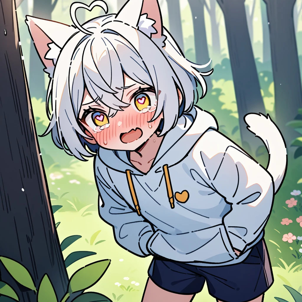 (masterpiece:1.2,high quality),8K,High resolution,A seven-year-old boy,cute boy,white hair,streaked hair,short hair,crossed bangs,light yellow eyes,((heart-shaped pupils)),heart-shaped eyes,heart ahoge,cat ears,full-face blush,tears,skin fang,Halation,Wearing a white hoodie,Dark blue shorts,Stand in the forest,There are flowering trees on both sides.,primary school student,thigh,alone,cat tail,(Put your hands in your pockets)
