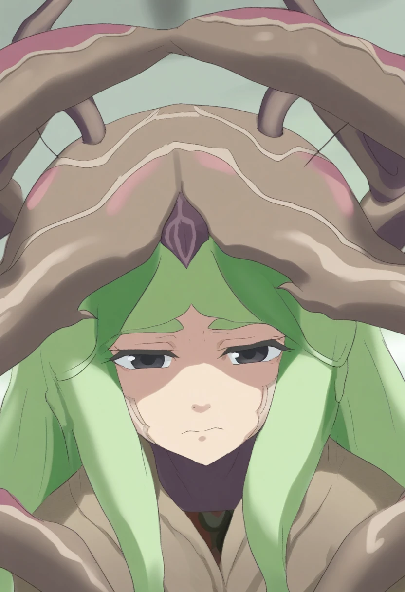 {{portrait, dutch angle}} {{Artist: Sincos}} 1female, mature female, 4arms, insect girl, wings, black eyes, carapace, chitin, antennae, green carapace, green hair,