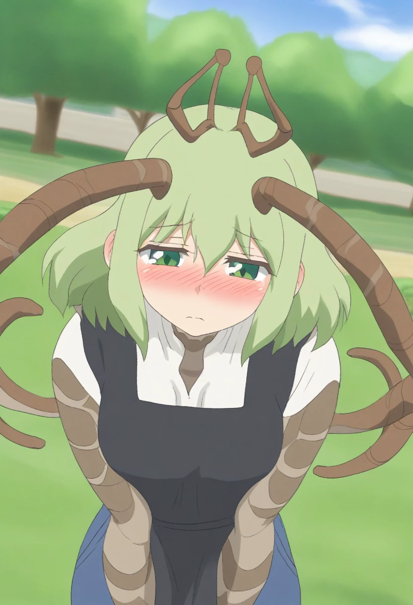 {{portrait, dutch angle}} {{Artist: Sincos}} 1female, mature female, 4arms, insect girl, wings, green eyes, carapace, chitin, antennae, green carapace, green hair, cute, flustered, day, park, black apron, blue jeans, white shirt, 