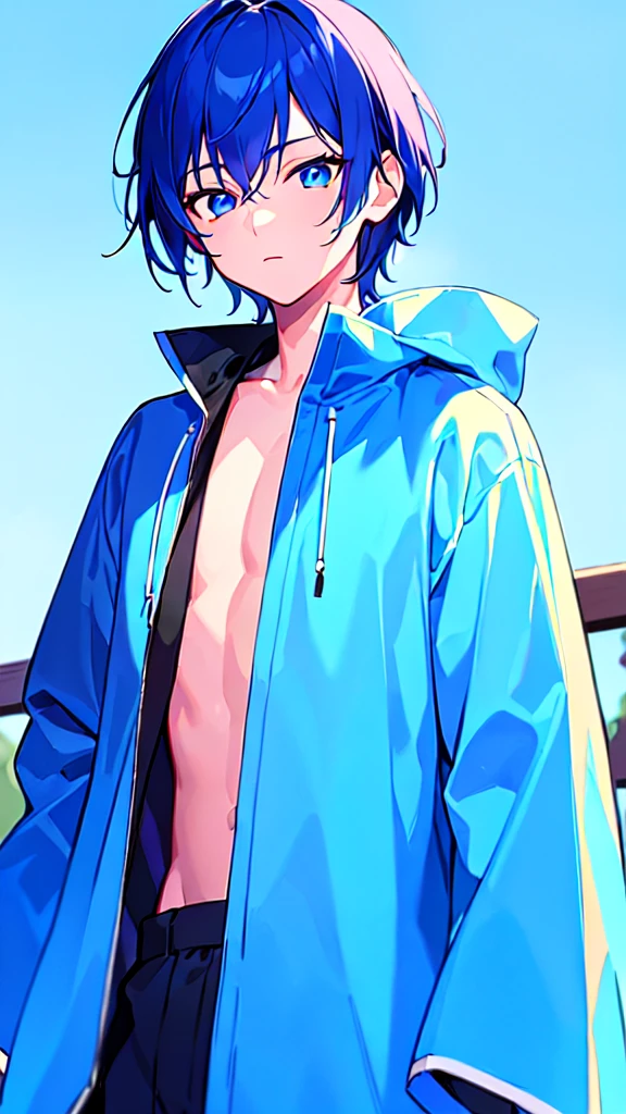 [(SKYBLUE BACKGROUND:1.5),::5], ((((masterpiece)))), high quality, ultra very high resolution, full color, (((solo))), ((little boy)), oriental deepBlue hair, (oriental deepblue eyes), anime, ((upper body)), Summer clothes, neon light, black parka, 