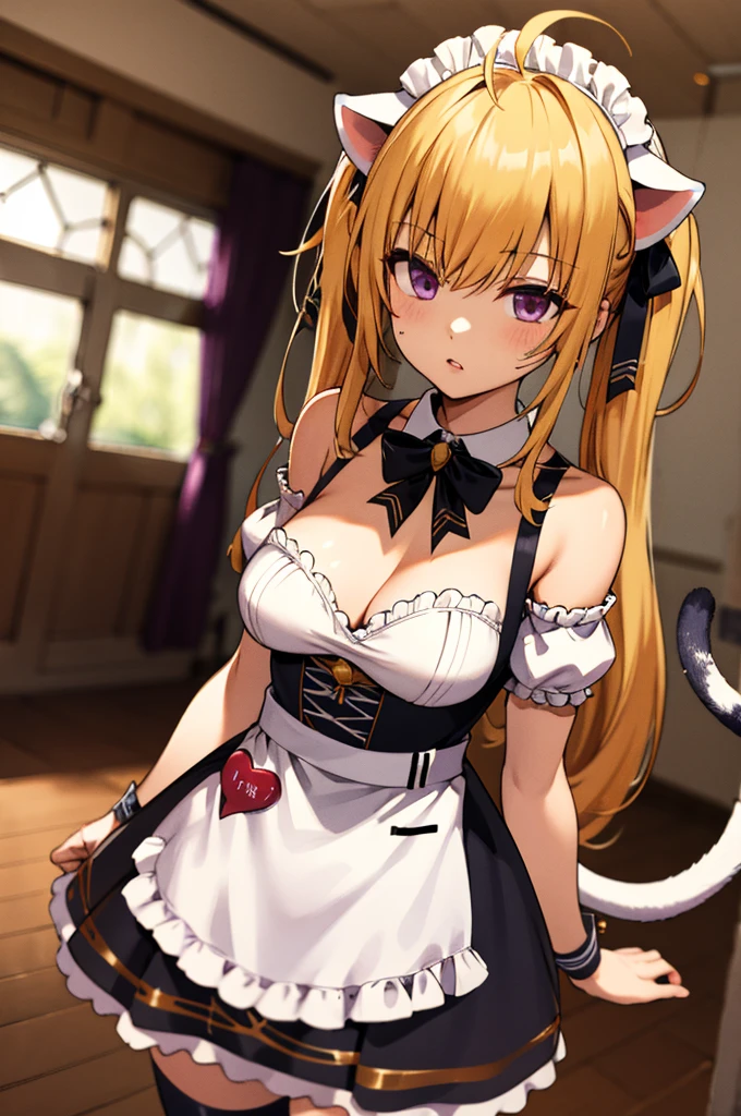 masterpiece, best quality, highres, hmtr, twintails, ahoge, maid headdress, animal ears, hair ribbon, black ribbon, cat tail, cleavage, black bowtie, maid, black dress, short sleeves, detached sleeves, bare shoulders, wrist cuffs, white apron, black thighhighs, standing, indoors, cowboy shot, arms at sides, straight-on,