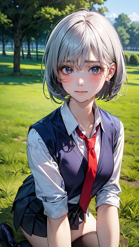 (masterpiece:1.2, top-quality), (realistic, photorealistic:1.4), beautiful illustration, (natural side lighting, movie lighting), nsfw,
looking at viewer, cowboy shot, front view:0.6, 1 girl, japanese, high school girl, perfect face, cute and symmetrical face, shiny skin,
(short hair:1.2, bob cut:1.2, silver hair), hair between eyes, blue eyes, long eye lasher, (large breasts:0.8, thick thighs),
beautiful hair, beautiful face, beautiful detailed eyes, beautiful clavicle, beautiful body, beautiful chest, beautiful thigh, beautiful legs, beautiful fingers,
(((navy jacket), white collared shirts, grey pleated mini skirt, black socks, black loafers, red tie)),
(beautiful scenery), In a grassy field, a girl is on all fours, and a large dog is clinging to her back from behind, holding on tightly to her lower body.
Her face was bright red, her mouth was open, and she looked like she was about to cry.
She is wearing a very short skirt.
