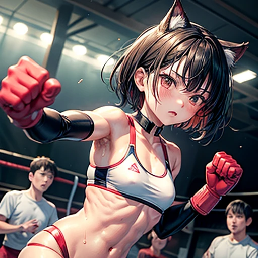 Injured Japanese female high school mixed martial artist during a match in the ring。Short black hair。Glaring at someone。He has his arms out in front of him in a fighting pose.。Rin々A funny expression。Drenched in sweat。A well-trained body。Six Pack Abs。Small breasts。Erect nipples。White and pink sports bra、bikini。Open Finger Gloves。