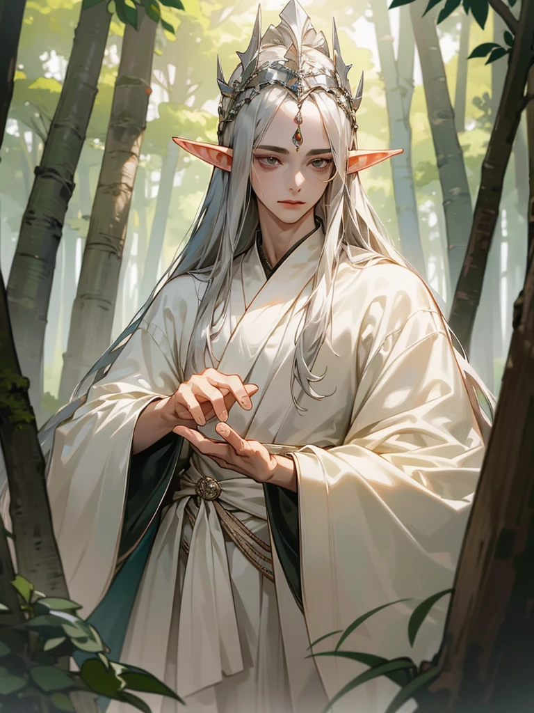 (tmasterpiece, high resolution, ultra - detailed:1.0), (1boy, Young male), Perfect male body, Eyes look at the camera, Extremely detailed CG, Unity 8k wallpaper, Complicated details, solo person, Detailed face, (Silver eyes,sliver long hair,silver silk robe,jewelry,Elf crown),out doors, virgin forest,trees and flowers,waterfalls, Elven style robe,embroidery,Elven headdress, Expose forehead, color difference, Depth of field, dramatic shadow, Ray tracing, Best quality, offcial art,