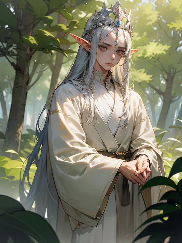 (tmasterpiece, high resolution, ultra - detailed:1.0), (1boy, Young male), Perfect male body, Eyes look at the camera, Extremely detailed CG, Unity 8k wallpaper, Complicated details, solo person, Detailed face, (Silver eyes,sliver long hair,silver silk robe,jewelry,Elf crown),out doors, virgin forest,trees and flowers,waterfalls, Elven style robe,embroidery,Elven headdress, Expose forehead, color difference, Depth of field, dramatic shadow, Ray tracing, Best quality, offcial art,