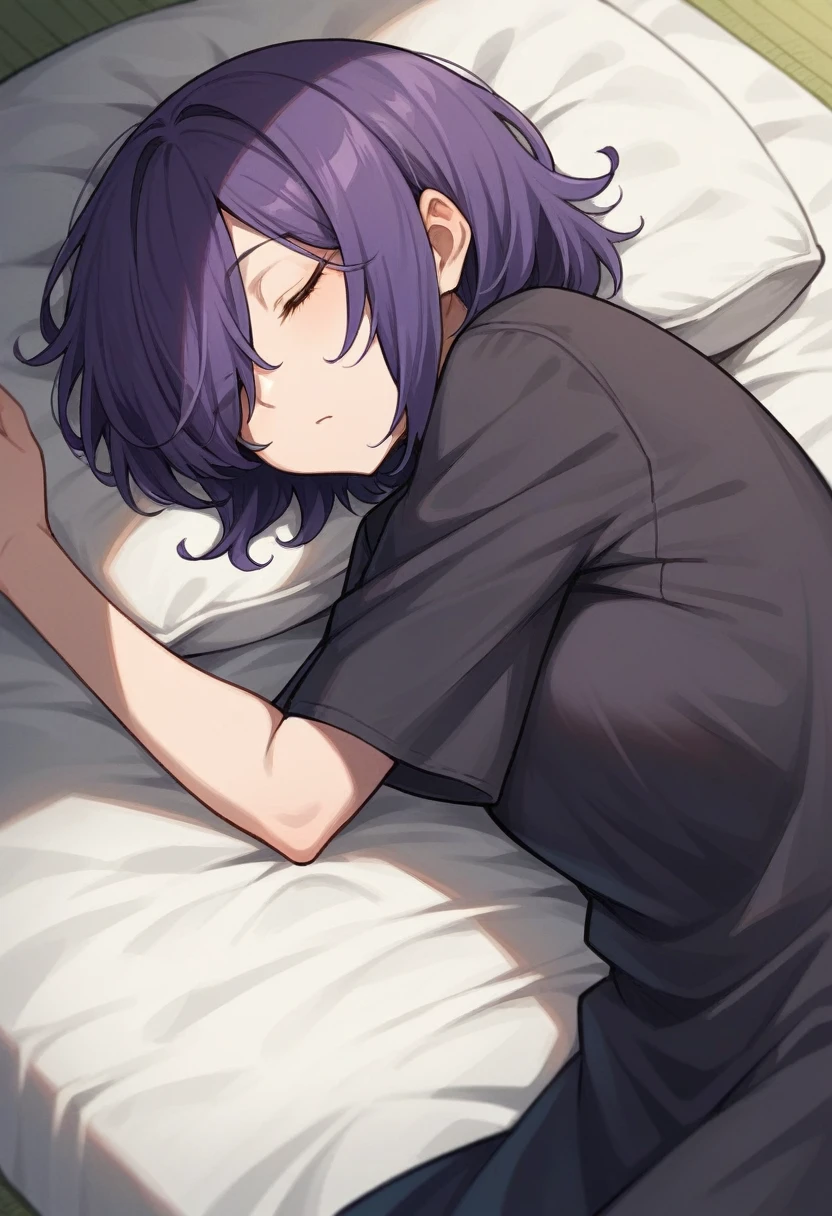 score_9, score_8_up, score_7_up, score_6_up, score_5_up, score_4_up, BREAK source_anime, one anime girl, blue eyes, dark purple hair, medium hair, hair covers one eye, dark clothes, sleeping, both eyes closed