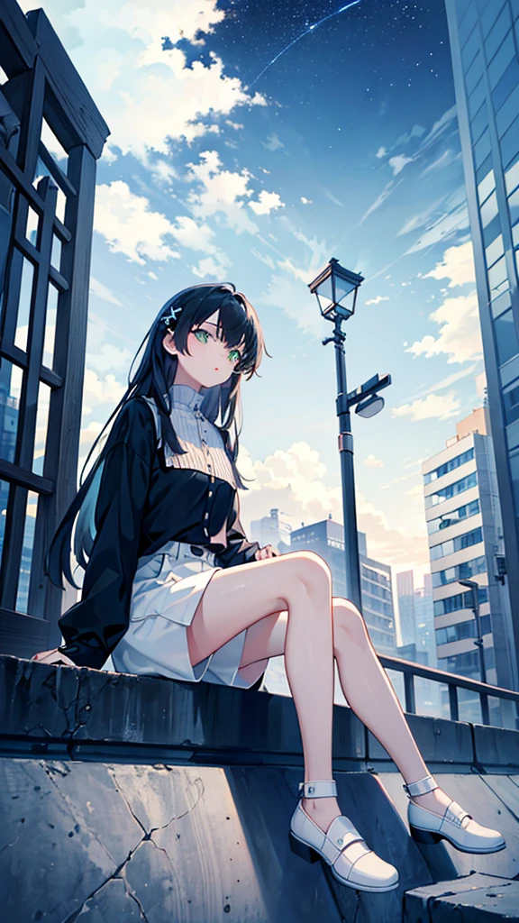 masterpiece, Exquisite detail,Highest quality, One girl, alone, handrail, cloud, Looking up at the buildings,Long Hair, NULL, Long sleeve, Power lines, White footwear, Black Hair, View your viewers, Electric pole, bangs, cloudy NULL, fish, bird, Green Eyes, Shorts, Day, Black Shirt, barefoot,Whale flying in the sky,Giant whale,night,star,milky way,night,Pitch black,Buildings,Sitting