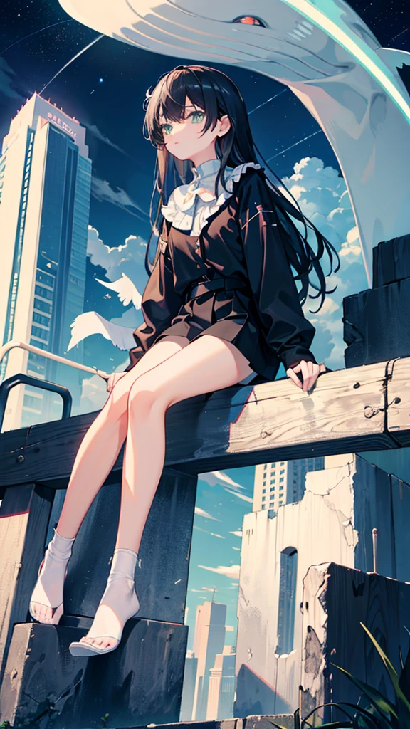 masterpiece, Exquisite detail,Highest quality, One girl, alone, handrail, cloud, Looking up at the buildings,Long Hair, NULL, Long sleeve, Power lines, White footwear, Black Hair, View your viewers, Electric pole, bangs, cloudy NULL, fish, bird, Green Eyes, Shorts, Day, Black Shirt, barefoot,Whale flying in the sky,Giant whale,night,star,milky way,night,Pitch black,Buildings,Sitting