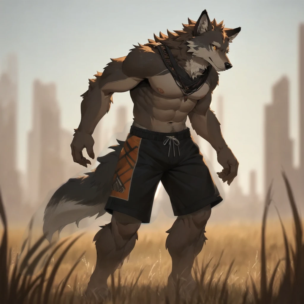 furry,male,anthropology(Prairie wolf),high quality,Correct structure,Brown fur,masterpiece,Depth of Field,black shorts,strong,Big furry tail