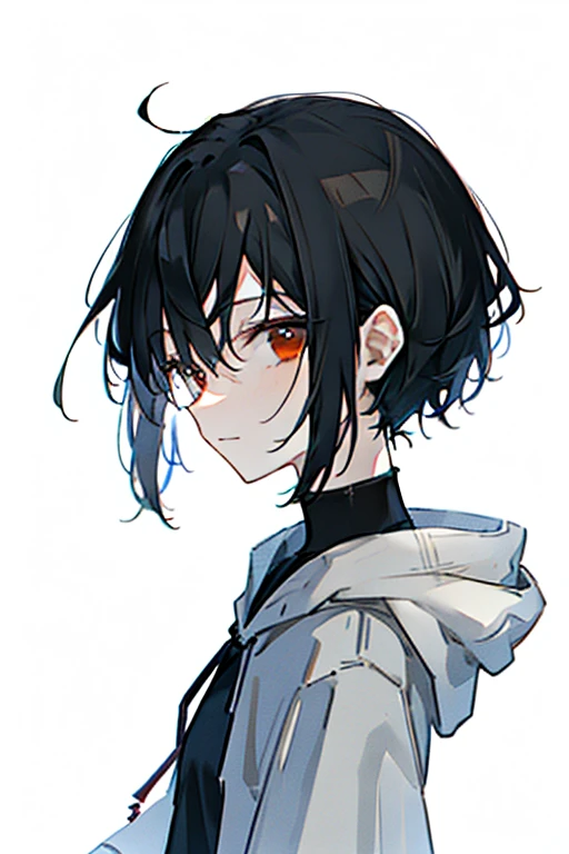 Masterpiece, best quality, solo, Beautiful, One, 1 man, short hair, black hair with smoky gray tips, Brown eyes, black shirt, Black and white with hood