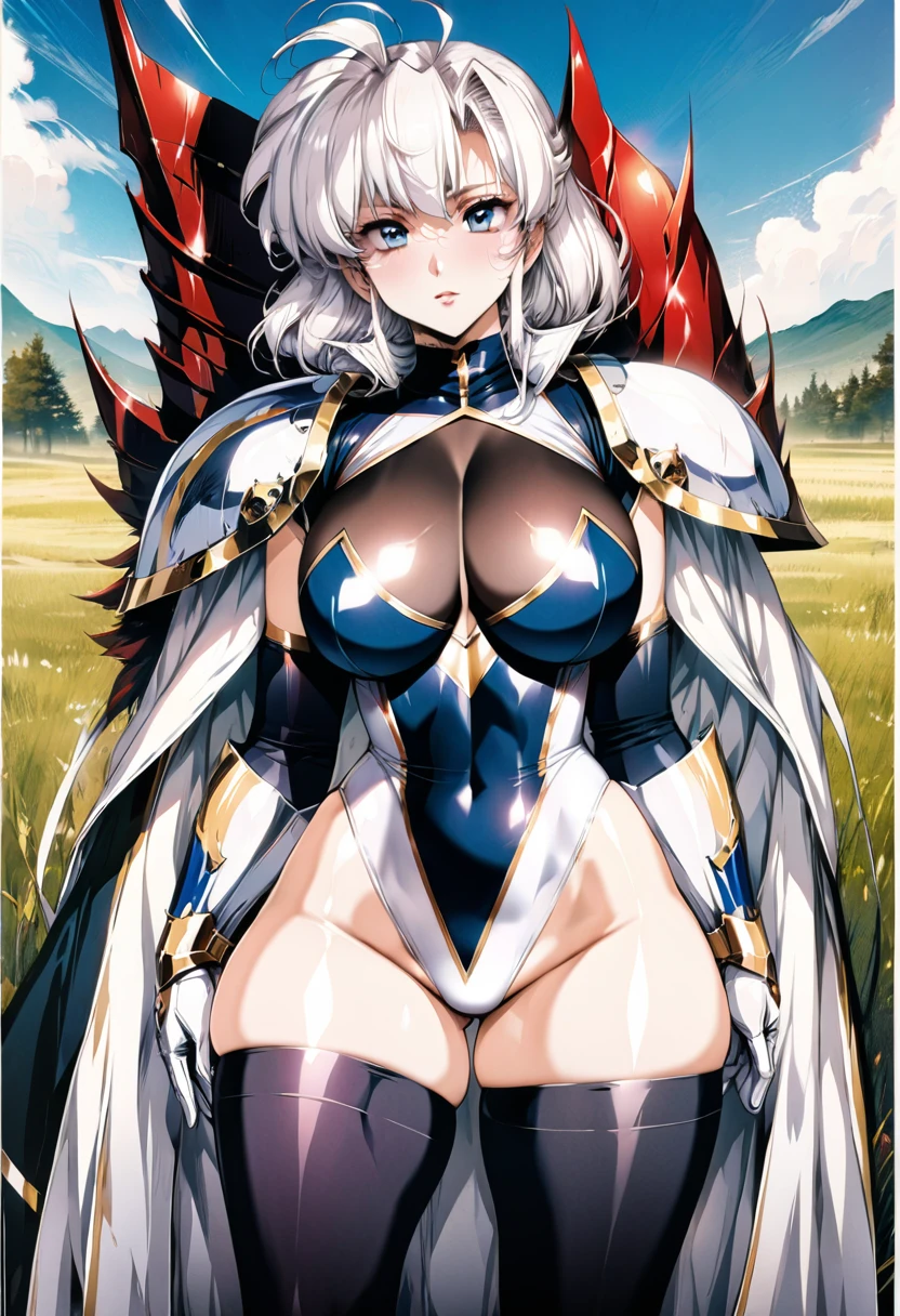 ((highest quality)), ((masterpiece)), ((hyperrealistic)), (detailed background), anime style, solo, 1girl, ((curvy: 1.2)), kawaii, paladin, ((Lamé racing leotard)), ((Raglan sleeve catsuit leotard)), (shoulder armor), (armored dress), cloak de cour, gauntlet, gloves, white hair, ahoge, (huge breasts), see-through cleavage cutout, (zettai ryouiki black knee socks), (thighs), (groin), beautiful eyes, perfect face, Perfect hands, perfect fingers, Blue sky and grassland,